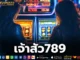 เจ้าสัว789 2