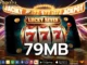 79mb